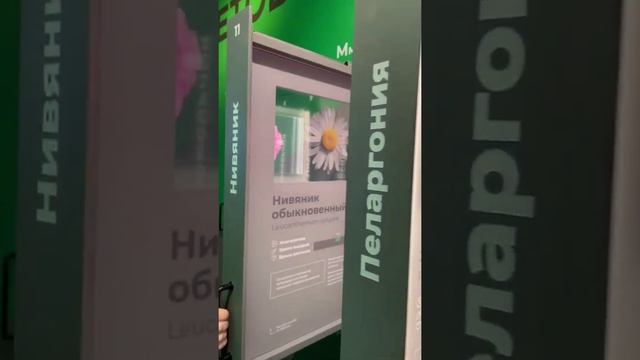 Новый музей на ВДНХ? смотреть онлайн