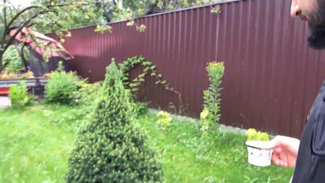 Путешествие в Питер | Финский залив | Разводные мосты смотреть онлайн