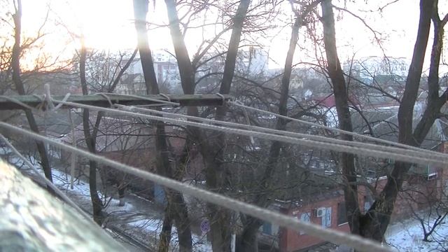Покупка Карликового Африканского Ежика И место его содержания смотреть онлайн