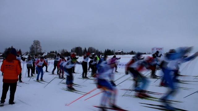 МЧС Главное 29.01.24 смотреть онлайн