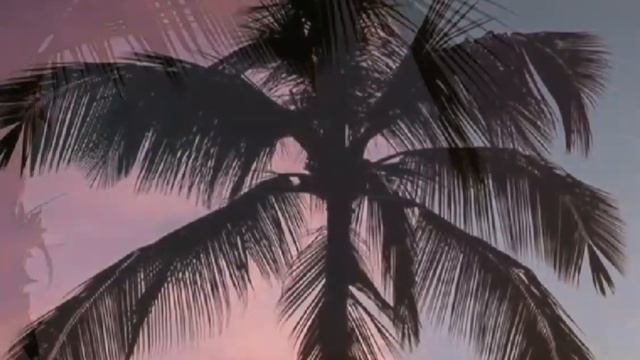 На севере диком смотреть онлайн