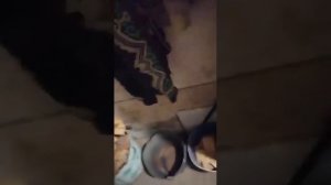 отзыв о котле Huntel JET 16