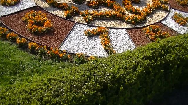 Вена , цветочные часы. смотреть онлайн