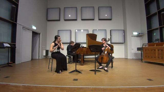 C.M. von Weber - Trio for Flute, Piano and Cello in G Minor, Op. 63 смотреть онлайн