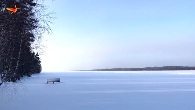 Коттедж на берегу озера Колконъярви | 2 спальни | F-10108 смотреть онлайн