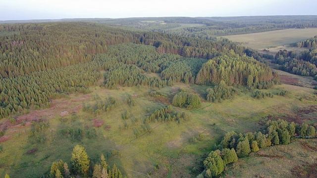 Медитация 5 архангелов. Очистка и трансформация сознания. смотреть онлайн