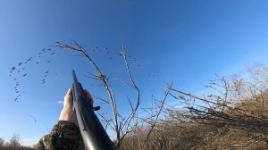 ОХОТА НА ГУСЯ 2022 Весенняя охота