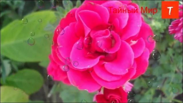 Как бросить курить