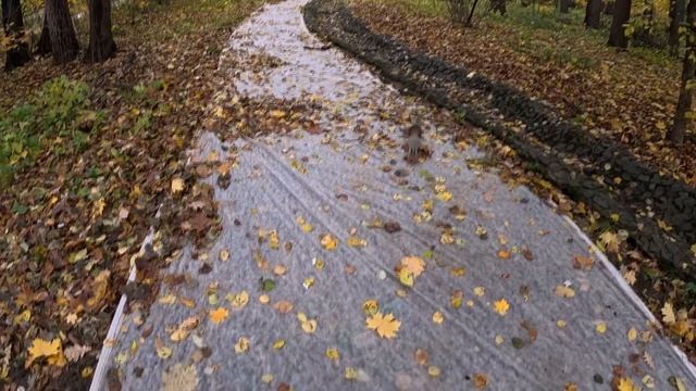 Парк Царицыно в Москве мой обзор и прогулка для похудения и здоровья смотреть онлайн