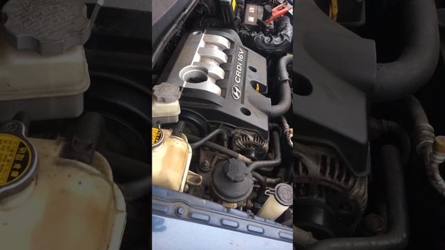 Разборка Hyundai - Trajet, 2.0 (VIN: KMHMH81VR4U230977) 77035 смотреть онлайн