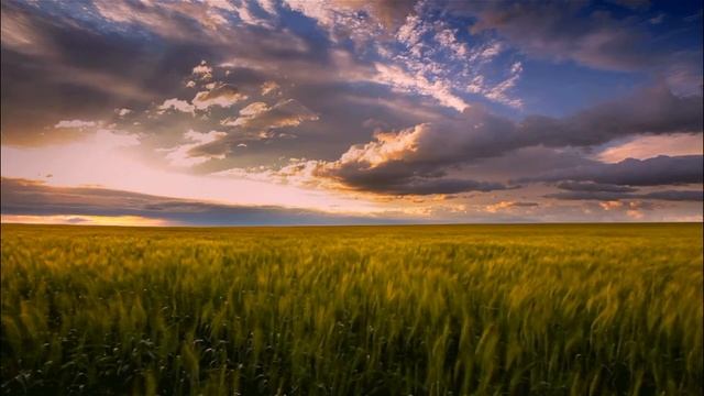 The Sound Of The Field/2 Hours/relaxing Music  Звук поля/2 часа/расслабляющая музыка