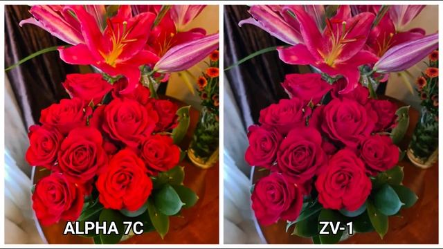 Sony Alpha A7C Vs Sony ZV-1 Camera Comparsion смотреть онлайн