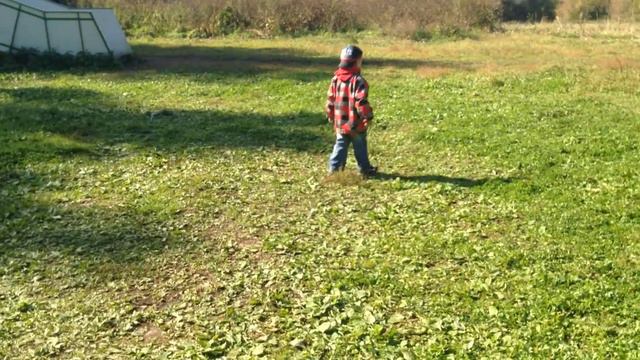 Кем ты будешь когда вырастешь? - 2014/сентябрь 21 смотреть онлайн