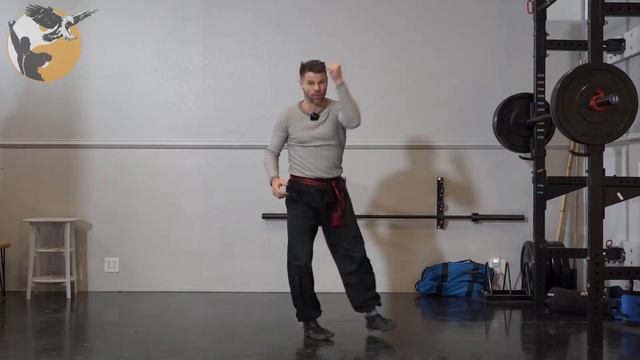 Eagle Claw Kung Fu Basic Striking Drills #2, Tam Tui Row 2 смотреть онлайн
