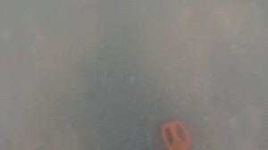 Первый подводный коп в Крыму