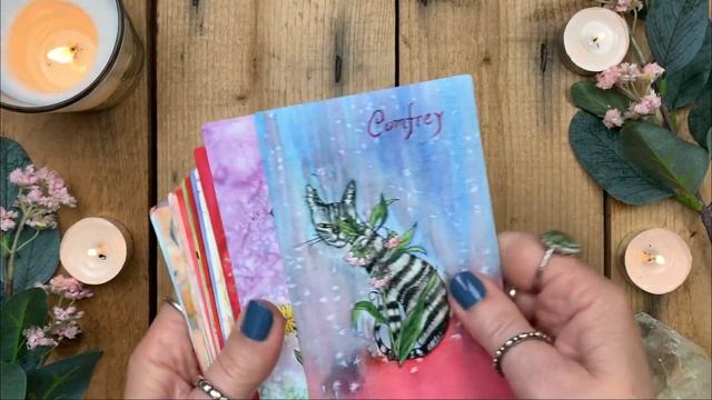 Cat Herbal Oracle Deck Walkthrough смотреть онлайн