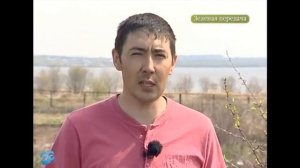 Морозостойкие сорта вишни