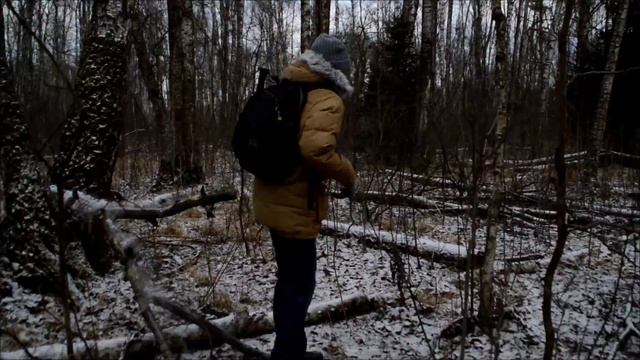 Предновогодний споттинг в Домодедово смотреть онлайн