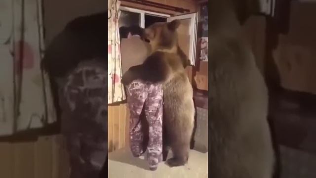лучшие друзья смотреть онлайн