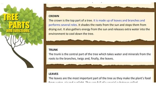 Excel 8.Module 6f.For Kaz/Tree Parts & Functions. Text p.72 смотреть онлайн