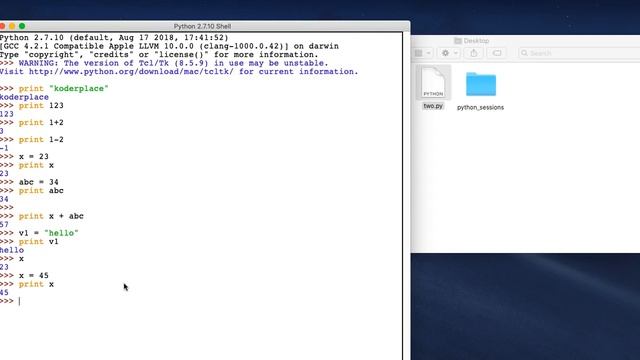 Python Basics Tutorials in Telugu for Beginners | Variables in Python смотреть онлайн
