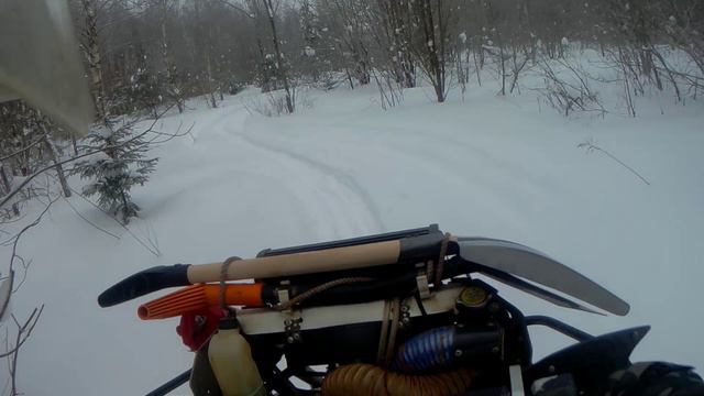 На ГУСЯХ 2024 г