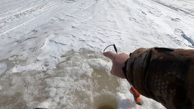 ЕСЛИ ХОЧЕШЬ ЯЗЯ НАДО ИСКАТЬ И БУРИТЬ)! ЗИМНЯЯ РЫБАЛКА ЗАКРЫТА НА ЕТЫ-ПУРЕ В КРАСИВОМ И РЫБНОМ МЕСТЕ