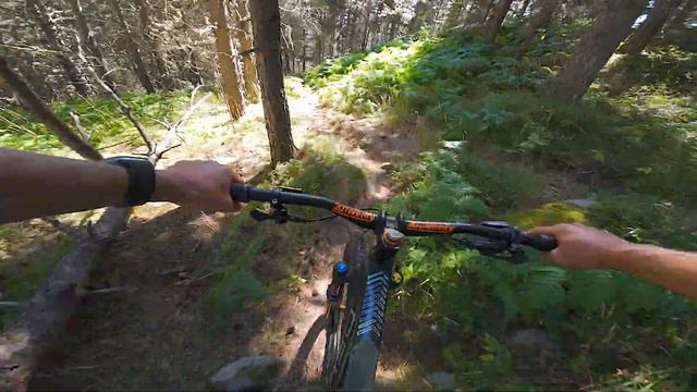 Riding Pristine High Alpine Singletrack👌 смотреть онлайн