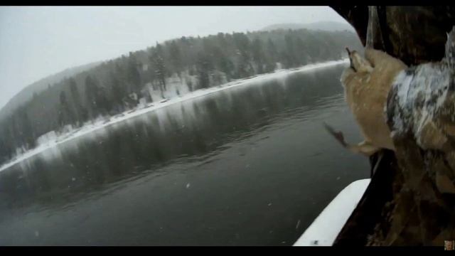 Отличная рыбалка на хариуса. смотреть онлайн