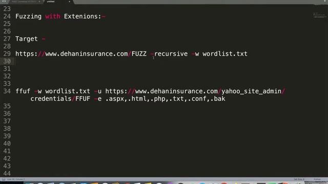 80 FFUF Directory Fuzzing with extensions смотреть онлайн