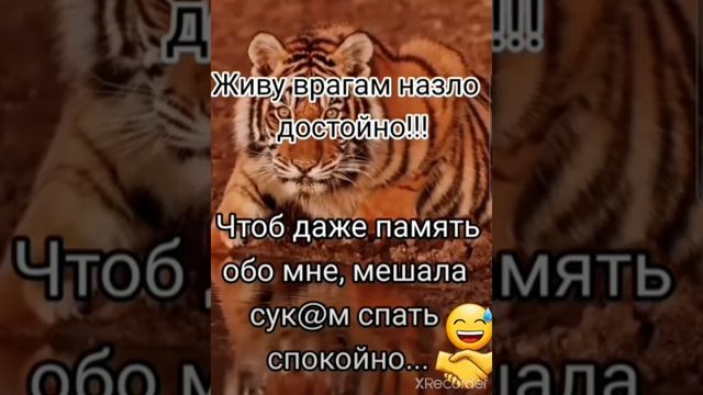 Живу достойно смотреть онлайн