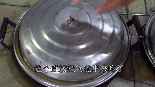 【农村四哥】农村四哥下厨做凉拌猪舌头，2根猪舌整1盘，麻辣鲜香看着就流口水