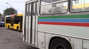 Обзор городского автобуса IKARUS 260 г Тольятти