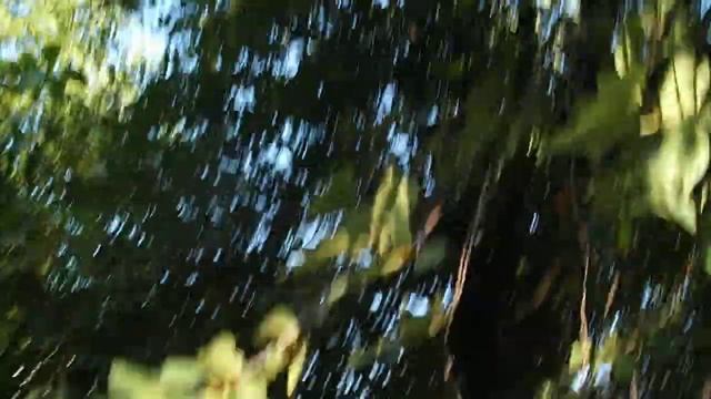 Приспособление для снятия вишни смотреть онлайн