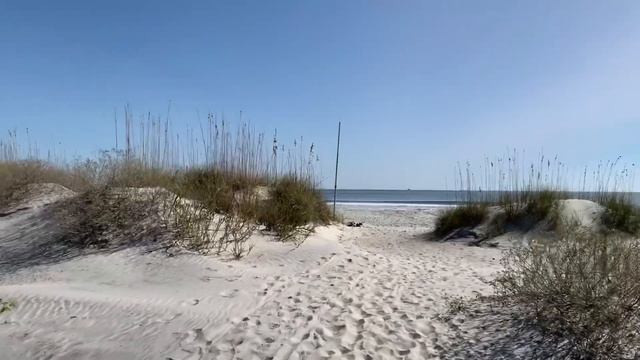 Video Tour of Hunting Island State Park in SC смотреть онлайн