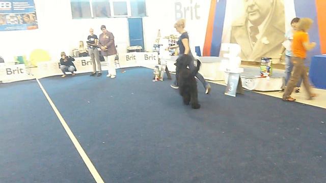 VID 20180819 171803 смотреть онлайн