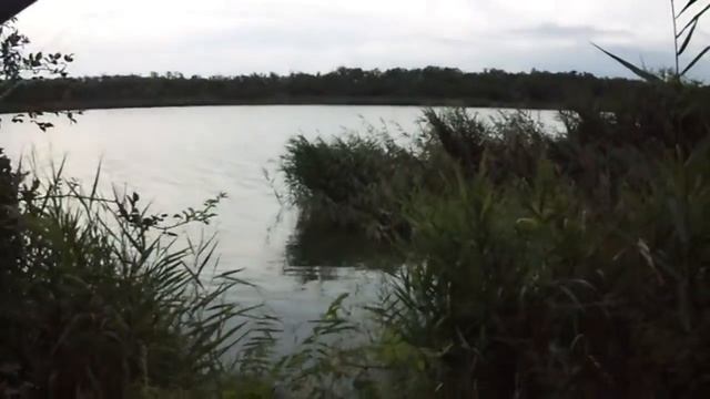 ЖЕСТЬ.ТАКУЮ РЫБУ МЫ ЕЩЕ НЕ ЛОВИЛИ!!!! ТЕЛАПИЯ. смотреть онлайн