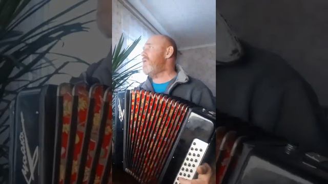 Рябина кудрявая(гармошка) смотреть онлайн
