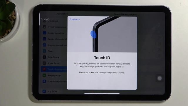 Установка отпечатка пальца и пароля на iPad Mini 6 2021 – инструкция смотреть онлайн