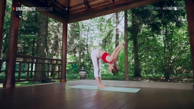 Активное утро за 30 минут – Йога для начинающих. смотреть онлайн
