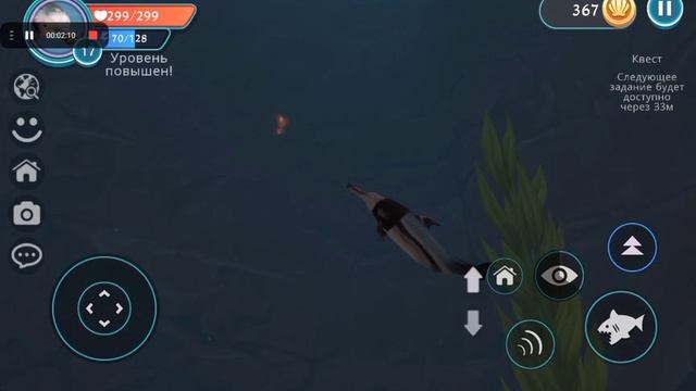 места где можно найти черепах и и осминожек Вайлд крафт обновлении смотреть онлайн