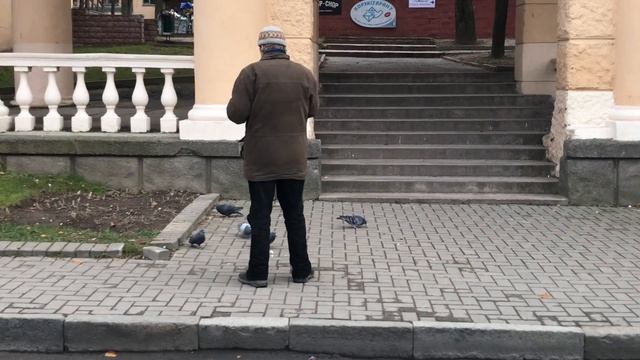 Добрый мужчина, который кормит птиц. смотреть онлайн