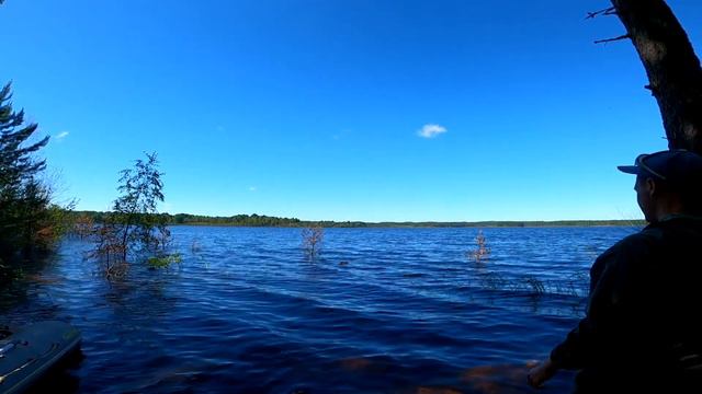 Мы ОФИГЕЛИ от такого количества рыбы / Рыбалка в диких местах смотреть онлайн
