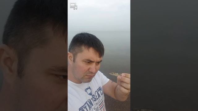 Серебряная рыбка смотреть онлайн