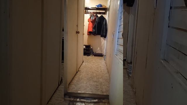 РЫЖИК ВСЕ ПОНИМАЕТ ТОЛЬКО СКАЗАТЬ НЕ МОЖЕТ