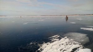 Мотосани. Первые ходовые испытания. Сделал себе помощника.