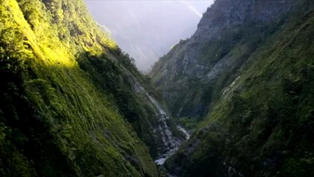 Подкармливая уличного пса, мальчик не понимал чем это обернется! смотреть онлайн