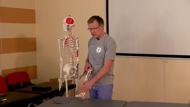 ТУННЕЛЬНЫЕ ДИСФУНКЦИИ НИЖНИХ КОНЕЧНОСТЕЙ ТУННЕЛЬНЫЙ СИНДРОМ ИКПК МОГЕЛЬНИЦКИЙ смотреть онлайн