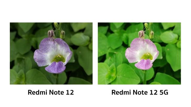 มือถืองบต่ำหมื่น Redmi Note 12 กับ Note 12 5G แต่ยัด Snapdragon 4 Gen1 โหดเกิ๊น смотреть онлайн
