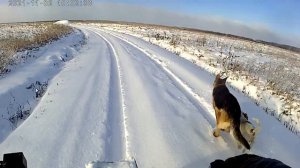 Трицикл Щукарь по первому снегу !